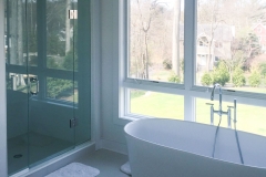 Full panel, custom glass shower doors