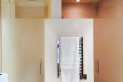 Frameless toilet and shower enclosure